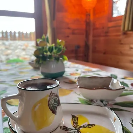 Andizalti Doga Evleri Limon Ev 别墅 达特恰