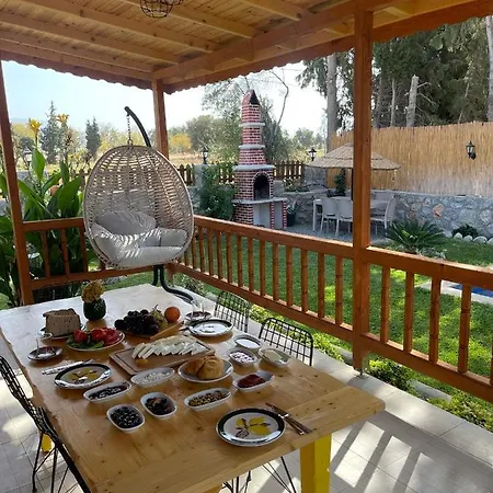 Andızaltı Doğa Evleri Limon Ev Villa *