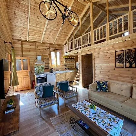 Andızaltı Doğa Evleri Limon Ev Villa Datça