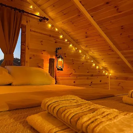 Andizalti Doga Evleri Limon Ev * ダッチャ