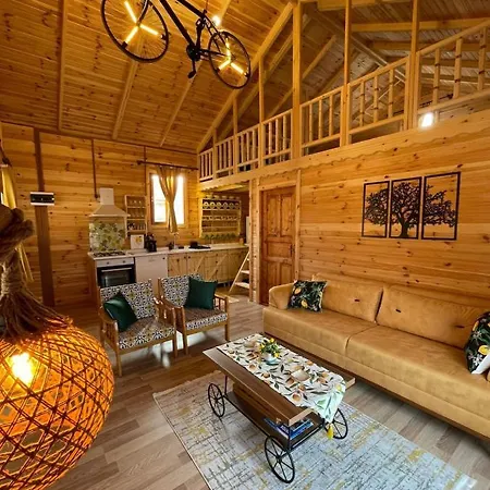 Andızaltı Doğa Evleri Limon Ev * Datça