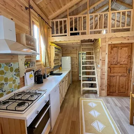 Andızaltı Doğa Evleri Limon Ev