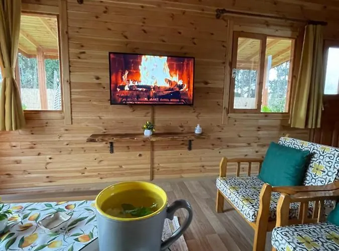 ヴィラ Andizalti Doga Evleri Limon Ev *