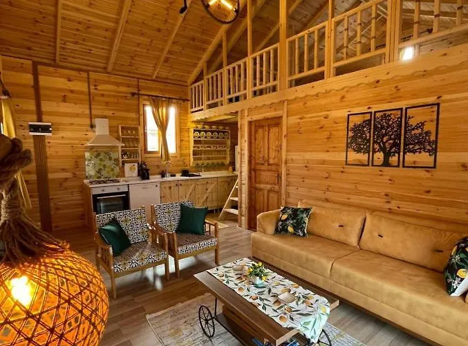 Andizalti Doga Evleri Limon Ev * ダッチャ