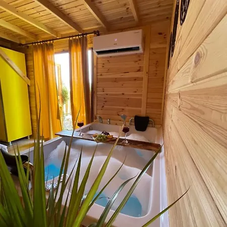 Andizalti Doga Evleri Limon Ev Villa Datca