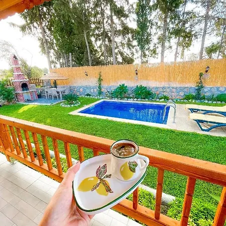 Andizalti Doga Evleri Limon Ev Villa *