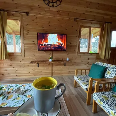 Villa Andizalti Doga Evleri Limon Ev *