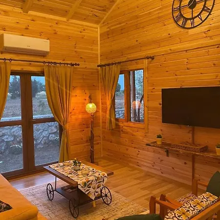 Villa Andizalti Doga Evleri Limon Ev Datca