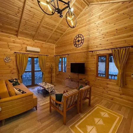 Villa Andizalti Doga Evleri Limon Ev Datca