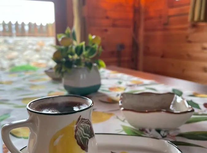 Andizalti Doga Evleri Limon Ev Vilă Datca