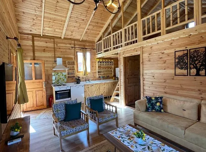 Andizalti Doga Evleri Limon Ev Vilă Datca