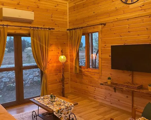 Vilă Andizalti Doga Evleri Limon Ev Datca