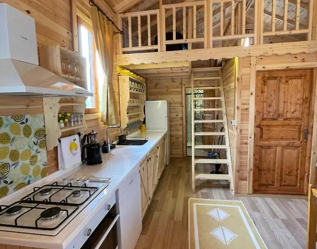 Andızaltı Doğa Evleri Limon Ev